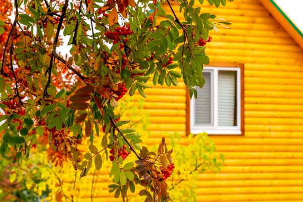 Garden Window Replacement in Oldsmar